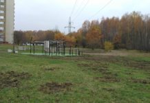 Aż strach wychodzić. Dziki panoszą się po Osiedlu Witosa. Plac Sportów Miejskich potrzebuje ogrodzenia