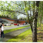 W Katowicach wytną drzewa, bo rusza budowa dwóch basenów