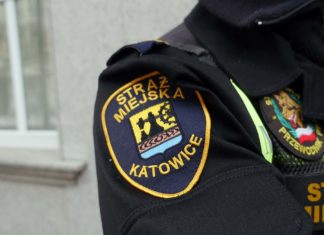 Kotek utknął w studzience burzowej w Katowicach. Spędził tam kilka dni