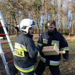 Wielkie wieszane budek dla ptaków w Katowicach. Zbudowali je mieszkańcy