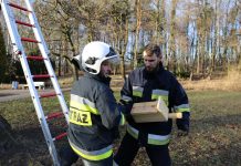 Wielkie wieszane budek dla ptaków w Katowicach. Zbudowali je mieszkańcy