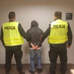 Volkswagen, las i amfetamina. Pechowo zaparkował