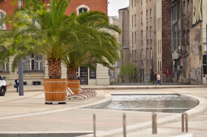 Sztuczna Rawa i palmy/ fot. Ewa Waszut, InfoKatowice.pl