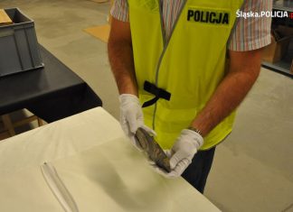 Mieszkaniec Katowic chciał sprzedać w internecie kawałek siekiery. Grozi mu teraz 5 lat więzienia