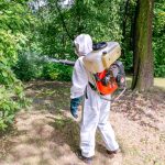 W 10 lokalizacjach na terenie Katowic będą pryskać. Przeciw komarom i kleszczom