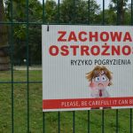Karmienie szynką roślinożernego wielbłąda? Co jeszcze robią zwiedzający w ZOO?
