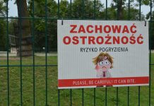 Karmienie szynką roślinożernego wielbłąda? Co jeszcze robią zwiedzający w ZOO?