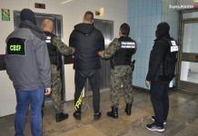 Wysyłkowo sprzedawali dopalacze i narkotyki. 5 osób zatrzymanych, przejęto kilkanaście kilogramów specyfików