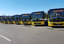 Kolejne nowe autobusy w Katowicach, będą obsługiwać główne linie