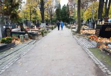 Elektryczny pojazd mógłby ułatwić poruszanie się seniorów i niepełnosprawnych po cmentarzach w Katowicach, ale miasto nie ma pieniędzy