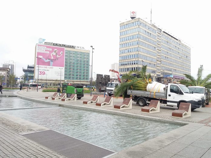 palmyopuszczajarynek