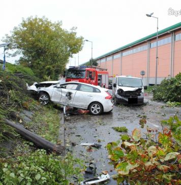Nie żyje kobieta. Policja szuka świadków wypadku w Katowicach (wideo)