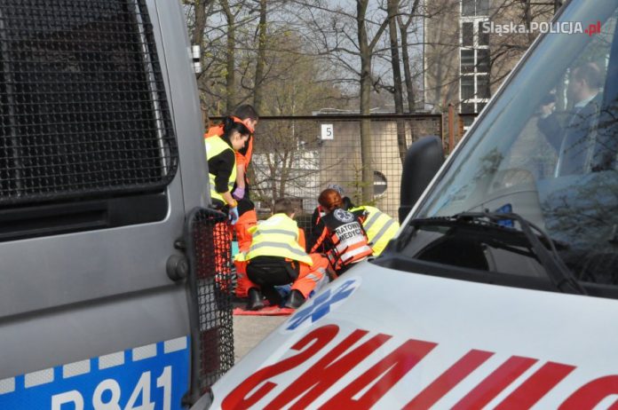 pollicjakaretkareanimacja_policja