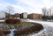 Dwa parki w Katowicach zostaną zrewitalizowane. Ma to kosztować w sumie ponad 8 mln zł