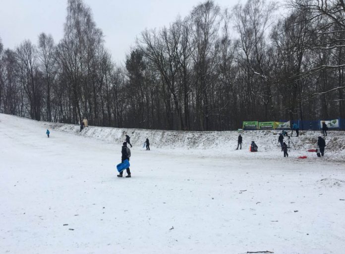 torseneczkowy_fotumkatowice