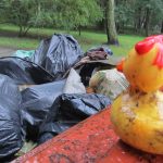 Mieszkańcy będą sprzątać Dąbrówkę Małą