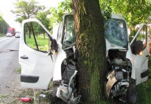 Samochód nagle zjechał z ulicy Chorzowskiej. Zatrzymał się na drzewie (zdjęcia)