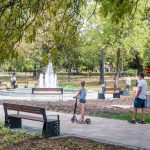 Dzisiaj w Katowicach konferencja „Borelioza – epidemia XXI wieku”