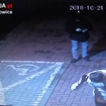 Zdewastowali rzeźbę przy Muzeum Historii Katowic. Nagrały ich kamery (wideo)