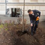 Nie będzie bankomatu nasion kwiatów w Katowicach. Miasto natomiast podkreśla, że sadzi drzewa