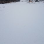 W sobotę mieszkańcy Katowic będą karmić ptaki w Parku Budnioka