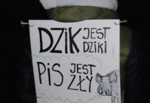 Kilkaset osób manifestowało w Katowicach. Przeciwko rzezi dzików (zdjęcia)