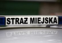 Szukają ludzi do pracy w Katowicach. Straż Miejska i Służba Celno-Skarbowa