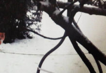 Policja nie stwierdziła znęcania się nad kotem w Katowicach. Był przywiązany do huśtawki