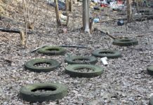 Borki toną w śmieciach. Mieszkańcy chcą to zmienić. Jak na razie bez skutku