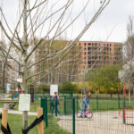 Mieszkańcy sadzili drzewa przez telefon w Katowicach. W sumie będzie ich 504