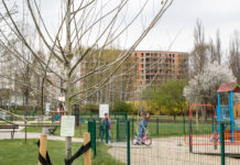 Mieszkańcy sadzili drzewa przez telefon w Katowicach. W sumie będzie ich 504