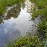 Dzisiaj burze i silny wiatr w Katowicach. Możliwy grad