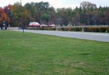 Zmienili plan dla Katowickiego Parku Leśnego. Aparthotele nie powstaną, ale będzie można budować. Opozycja mówi o „szantażu”