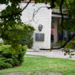 Nie będzie wycinki tysięcy drzew pod nowe alejki w Parku Śląskim. Co z Falą i wodnym placem zabaw?