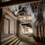 Najlepszy pomysł na jesienną wycieczkę