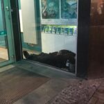 Jak pomóc bezdomnym w Katowicach? Śpią gdzie tylko się da, bo zima to szczególnie trudny okres