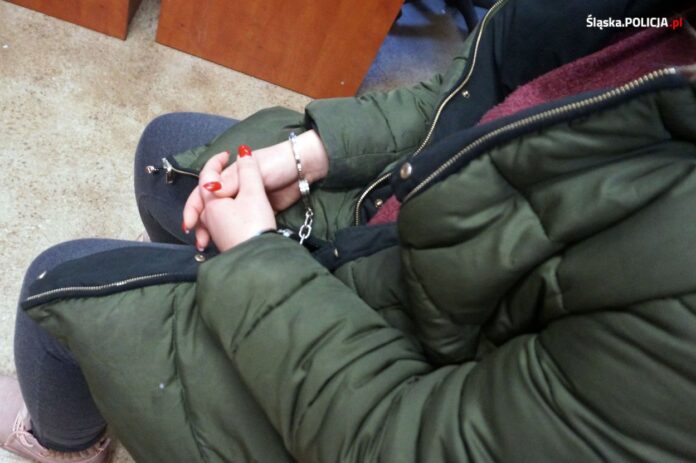 zatrzymankobietakajdanki