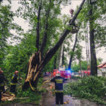 Mocno wiało w nocy. Strażacy w Katowicach na bieżąco interweniują