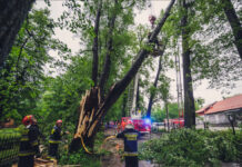 Mocno wiało w nocy. Strażacy w Katowicach na bieżąco interweniują