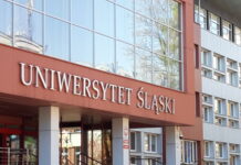 Studenci zbierają podpisy pod listem otwartym do rektora UŚ. Oskarżają Izrael o ludobójstwo i domagają się zerwania współpracy z Izraelskimi uczelniami