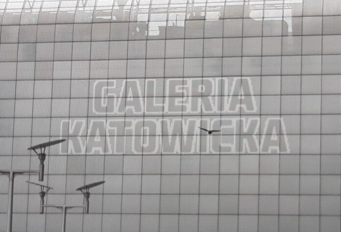 galeria katowicka