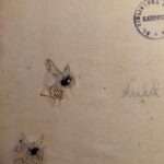 Niezwykła książka w zbiorach Biblioteki Śląskiej. Została dwukrotnie postrzelona i dźgnięta sztyletem