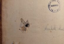 Niezwykła książka w zbiorach Biblioteki Śląskiej. Została dwukrotnie postrzelona i dźgnięta sztyletem