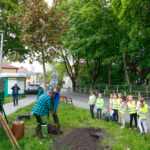 Katowice posadzą kolejne drzewa z aplikacji
