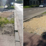 Wycięto chore drzewo. Możliwe, że zwolniła się przestrzeń na nowe miejsce parkingowe