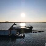 Na Śląsku powstała Ptasia Wyspa. To unikat w skali Europy i nowa atrakcja turystyczna w województwie