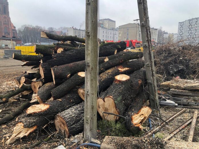 132703608_240253207453554_397301783502734517_n