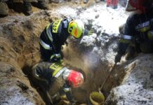 Strażacy uratowali psa w Katowicach. Był uwięziony przez kilka godzin