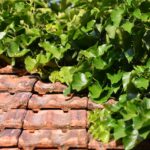 Radni chcą zielonych dachów w Katowicach. Pilotaż ma dotyczyć tylko Śródmieścia