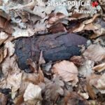 Mężczyzna spacerował po lesie w Katowicach. Znalazł pocisk